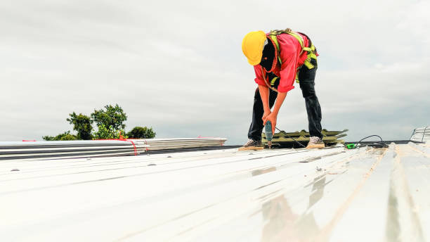 Best Commercial Roofing Services  in Sauk Vlage, IL
