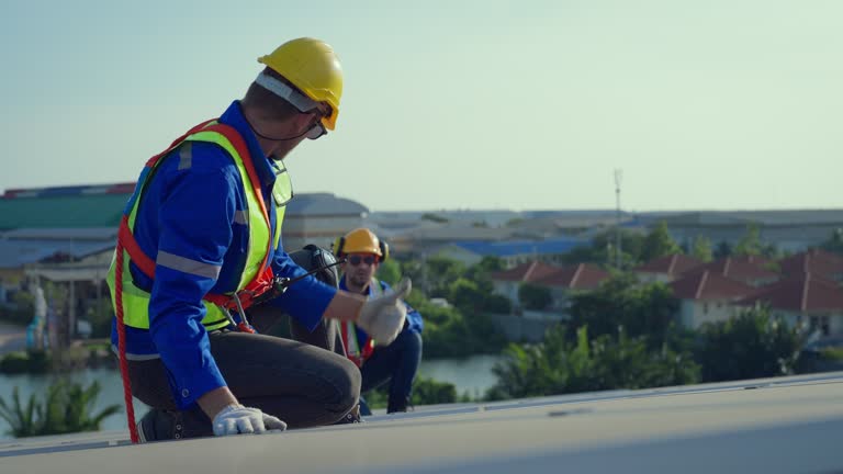 Best Roof Ventilation Installation  in Sauk Vlage, IL
