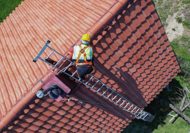 Best Asphalt Shingle Roofing  in Sauk Vlage, IL