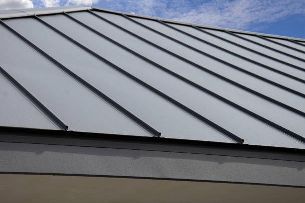Best Commercial Roofing Services  in Sauk Vlage, IL